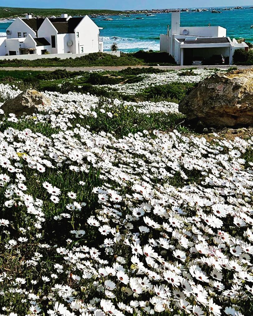 Sonkwas 10 Villa Paternoster Eksteriør billede